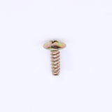 Polaris Screw (pack of 2) PN 7517317