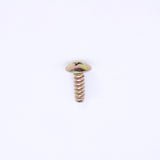 Polaris Screw (pack of 2) PN 7517317