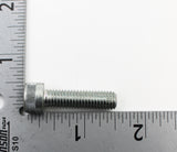 Polaris Victory Screw PN 7517361