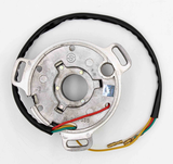 Vespa Stator Assembly PN 217983