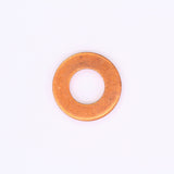 Polaris Washer PN 7556082