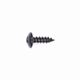 Polaris Screw PN 0450676