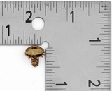 Polaris Screw PN 7512048