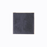 Polaris Pad PN 5813593