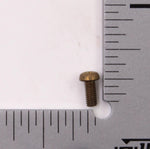 Polaris Screw (Pack of 4) PN 2080005