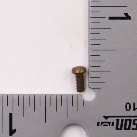 Polaris Screw (Pack of 4) PN 2080005