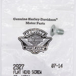 Harley-Davidson Flat Head Screw (Pack of 2) Part Number - 2927