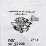 Harley-Davidson Flat Head Screw (Pack of 2) Part Number - 2927