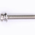 Sea-Doo Screw PN 270500143