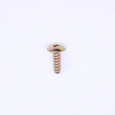 Polaris Screw (pack of 2) PN 7517317