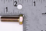 Polaris Cap Screw PN 7512365