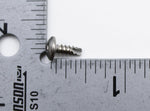 Polaris Screw (Pack of 17) PN 7511873