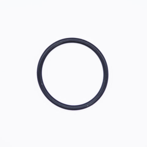 Polaris O-Ring PN 0450048