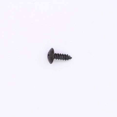 Polaris Screw PN 0450676