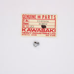 Kawasaki Screw Pan Head Part Number - 220E0606
