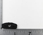 Polaris Spacer Speedo. PN 5810442