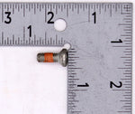 Kawasaki Screw (Pack of 2) PN 09120-06011
