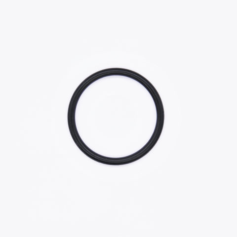 Polaris O-Ring PN 1700044