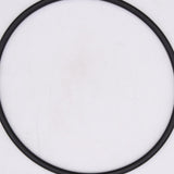 OMC O-Ring (Pack of 5) PN 18-7169