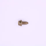 Polaris Screw PN 7515399