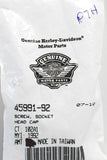 Harley-Davidson Socket Head Cap Screw Part Number - 45991-92