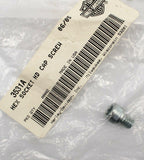 Genuine Harley-Davidson Hex Socket Head Cap Screw Part Number - 3531A