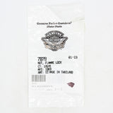 Harley-Davidson Hex Lock, Flange, Nut Part Number - 7878
