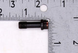 OMC Screw PN 308186