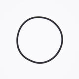 Polaris O-Ring PN 3086996