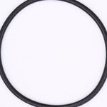 Polaris O-Ring PN 1700171