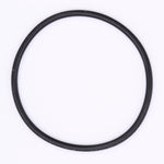 Polaris O-Ring PN 1700171