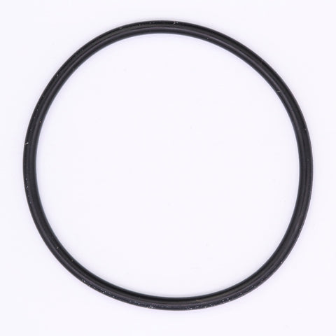 Polaris O-Ring PN 1700171
