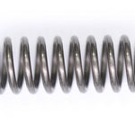 Kawasaki KX125 KX250 Spring 92145-1487 NOS