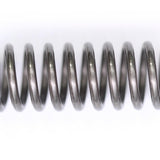Kawasaki KX125 KX250 Spring 92145-1487 NOS