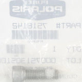 Polaris Screw PN 7518142