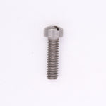 OMC Screw PN 306446