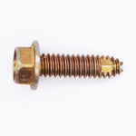 Polaris Screw PN 7517312