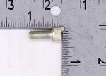 OMC Screw PN 313705