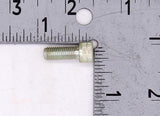 OMC Screw PN 313705