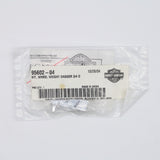 Genuine Harley-Davidson Wheel Weight Dagger 3/4 Oz Kit Part Number - 95602-04