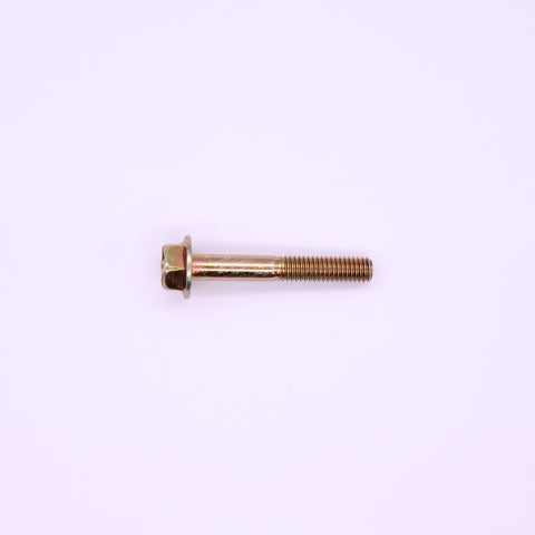 Polaris Screw PN 7517610