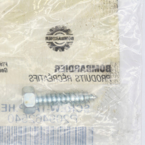 Sea-Doo Tapping Hex Screw PN 209462540