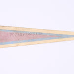 Polaris Blue and Red Triangular Decal PN 7076077