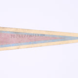 Polaris Blue and Red Triangular Decal PN 7076077