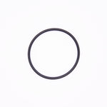 Polaris O-Ring PN 1800242