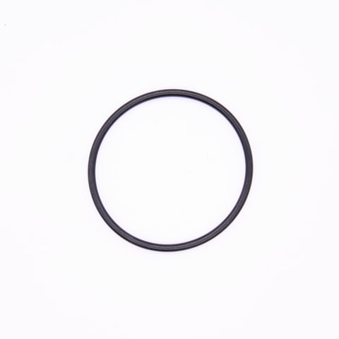 Polaris O-Ring PN 1800242