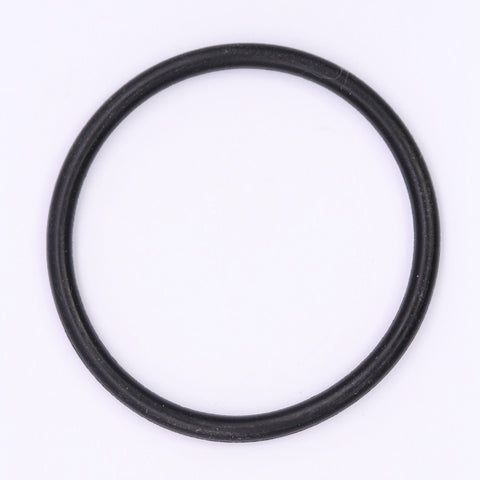 Polaris Cylinder Head O-Ring PN 1700051