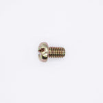 Polaris Screw PN 3084065