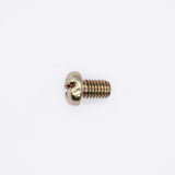Polaris Screw PN 3084065
