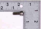 OMC Screw PN 305745